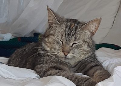 Moonie on bed
